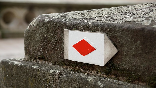 Hình ảnh minh họa ý nghĩa của từ parallelogram