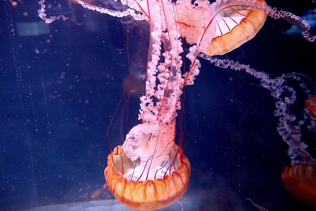 Hình ảnh minh họa ý nghĩa của từ paralyzing