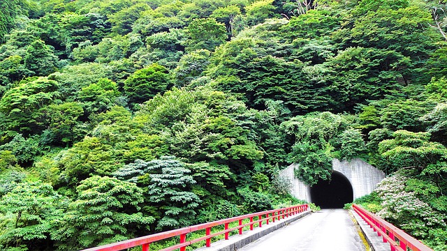 Hình ảnh minh họa ý nghĩa của từ parapet