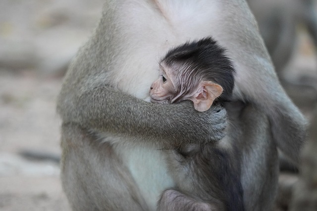 parental love