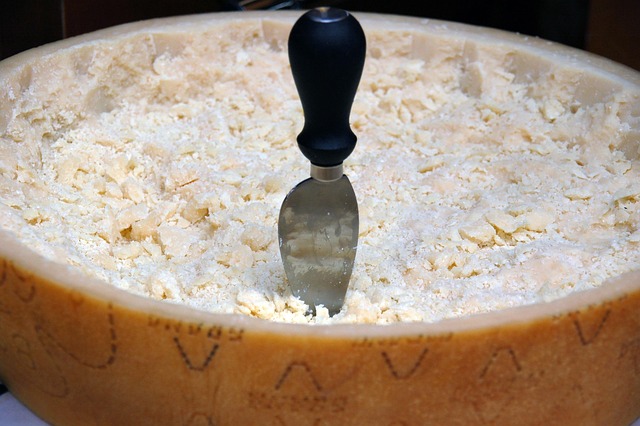 Hình ảnh minh họa ý nghĩa của từ parmigiano-reggiano