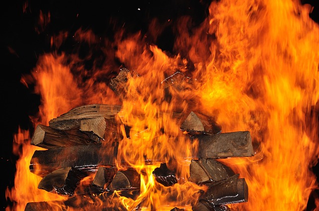 Hình ảnh minh họa ý nghĩa của từ participant