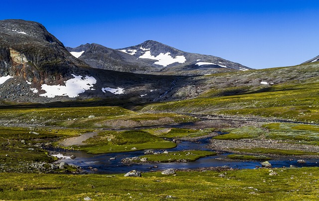 Hình ảnh minh họa ý nghĩa của từ participate