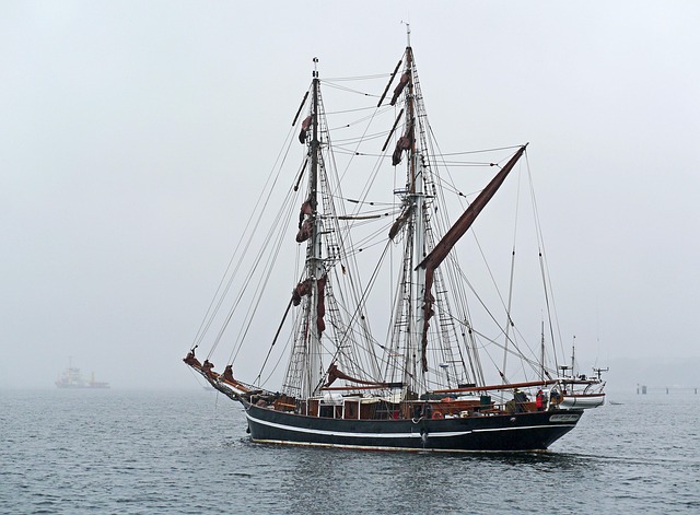 Hình ảnh minh họa ý nghĩa của từ participating in