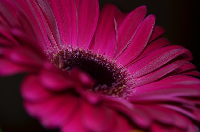 Hình ảnh minh họa ý nghĩa của từ particularly