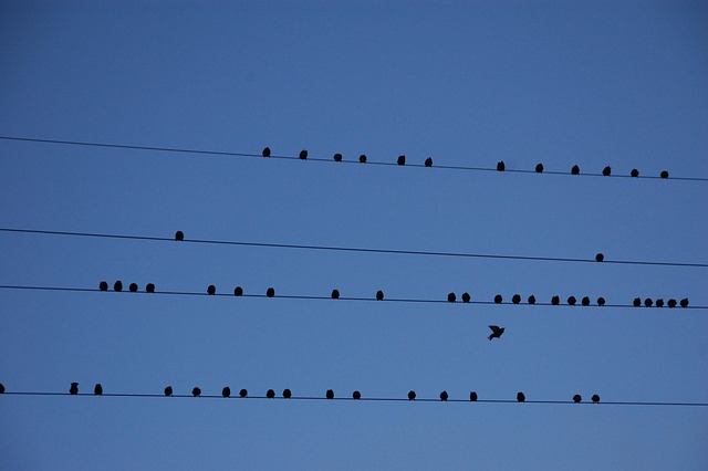 Hình ảnh minh họa ý nghĩa của từ partition function