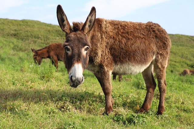 Hình ảnh minh họa ý nghĩa của từ pasteurizing