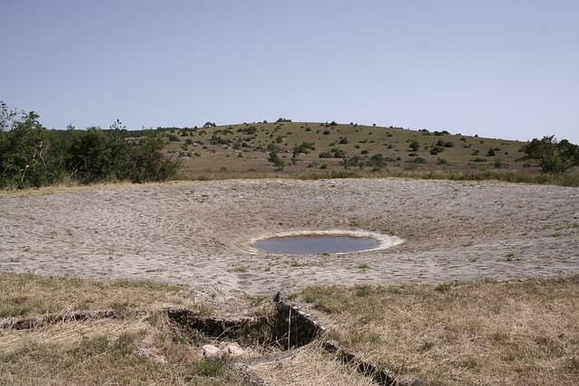 Hình ảnh minh họa ý nghĩa của từ pastoralism