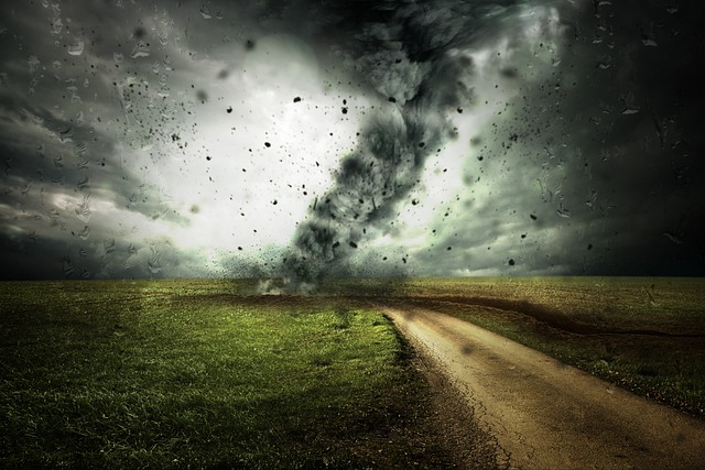 path to destruction
