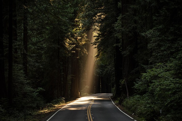 paved road