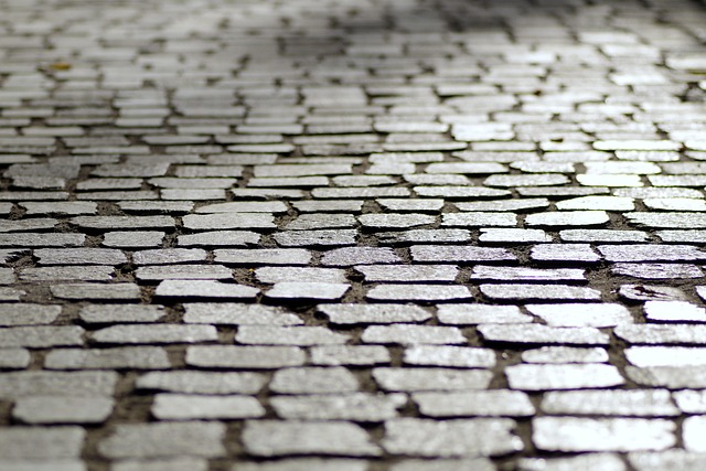 Hình minh họa pavimentado