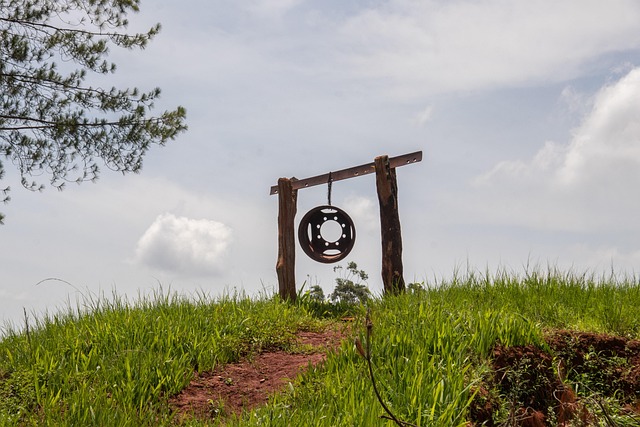 Hình minh họa terugbetalen