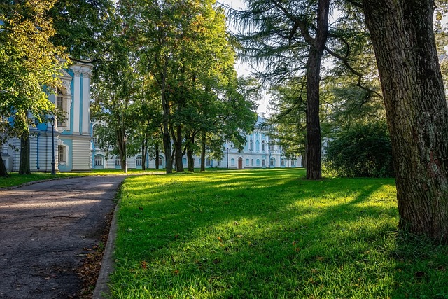 Hình ảnh minh họa ý nghĩa của từ peace maintainer