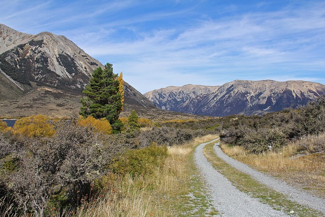 Hình ảnh minh họa ý nghĩa của từ pearson correlation coefficient