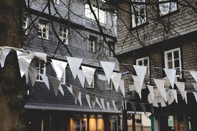 Hình ảnh minh họa ý nghĩa của từ pennant