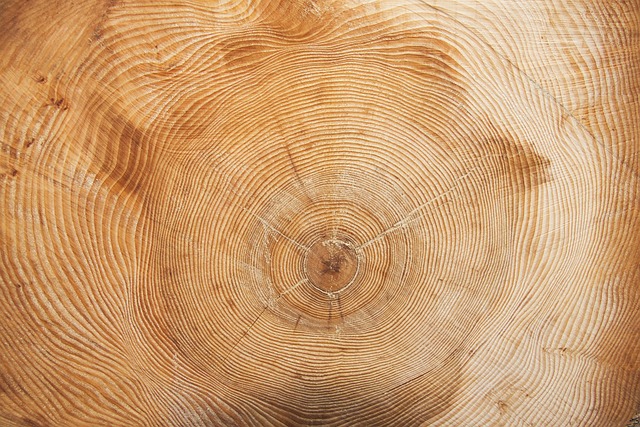 Hình ảnh minh họa ý nghĩa của từ periodically