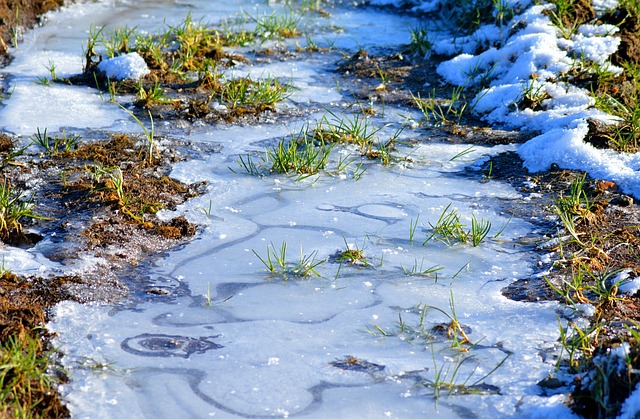 permanently frozen ground