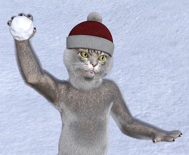 pet