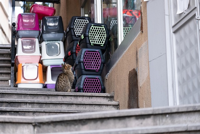 pet shop