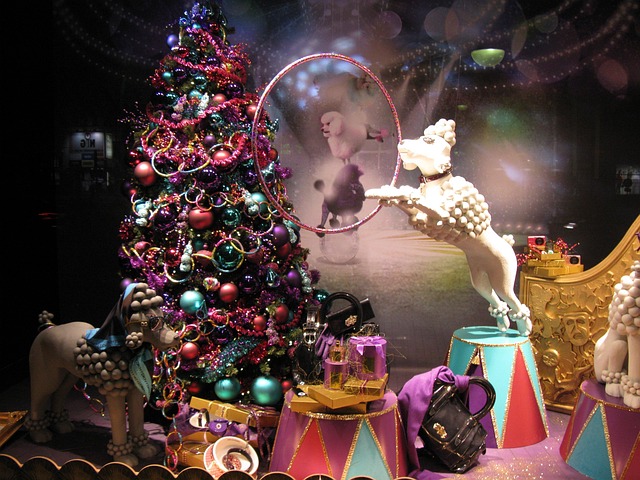 pet store