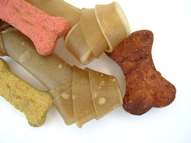 pet supplies