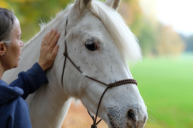 petting