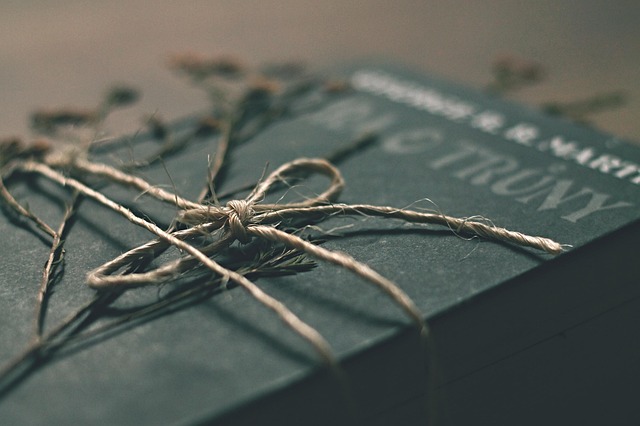 Hình ảnh minh họa ý nghĩa của từ phloem