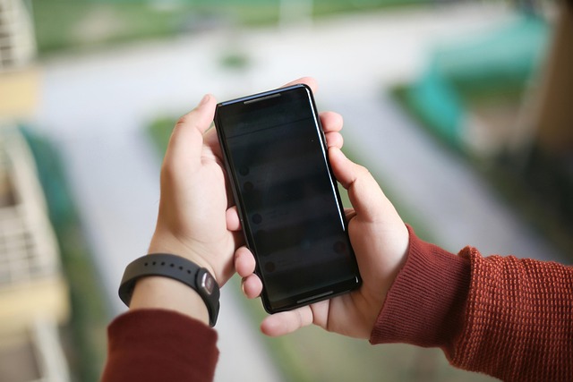 phone in