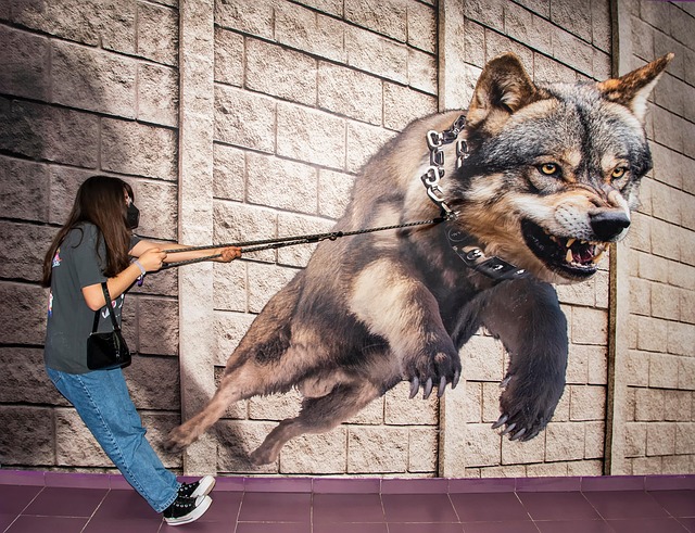 Hình ảnh minh họa ý nghĩa của từ photo op