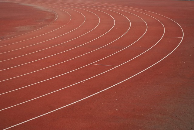 Hình ảnh minh họa ý nghĩa của từ physical activity level