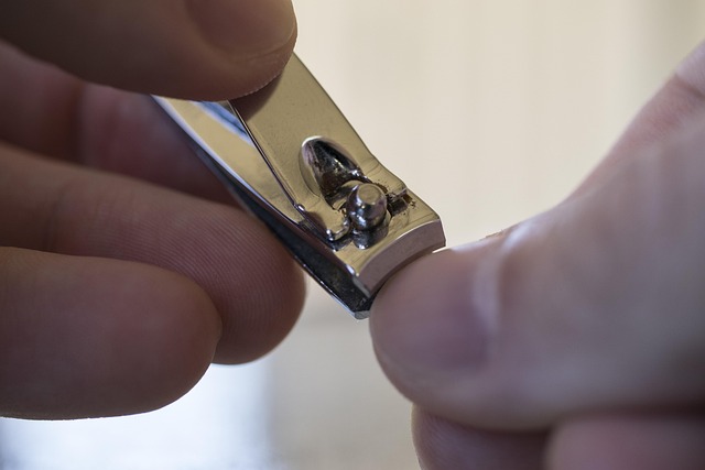 Hình ảnh minh họa ý nghĩa của từ physical appeal