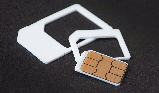 physical sim card
