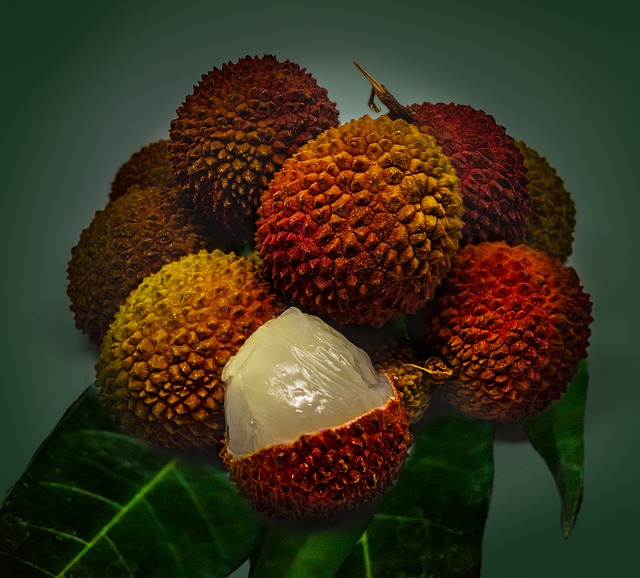 Hình ảnh minh họa ý nghĩa của từ phytochemicals