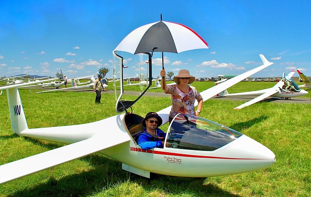 Hình ảnh minh họa ý nghĩa của từ pilot assistance