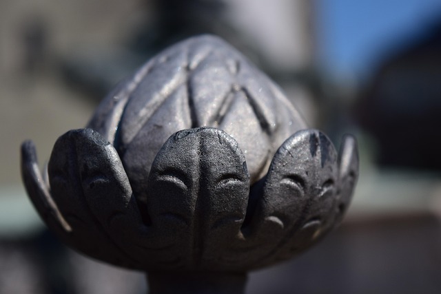 Hình ảnh minh họa ý nghĩa của từ pine