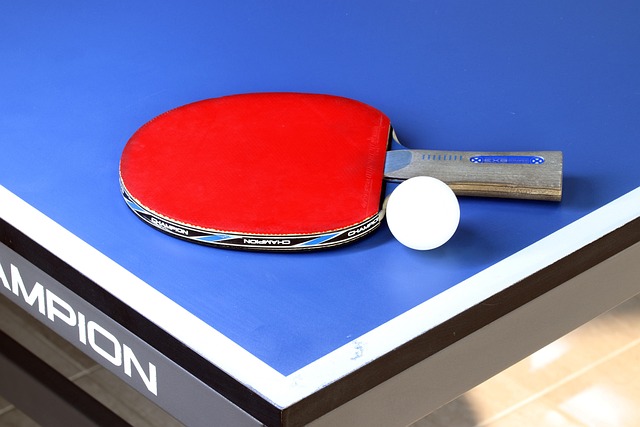 ping pong paddle