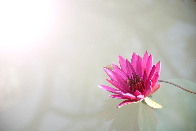 pinkness