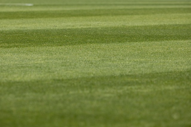 pitch invasion