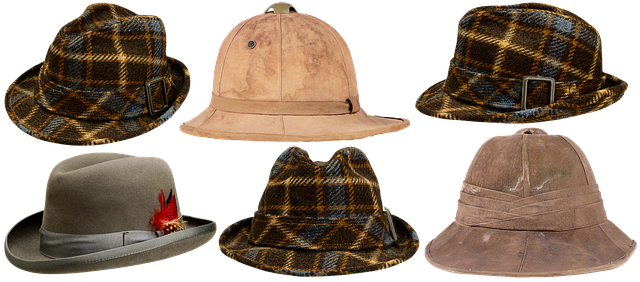 Hình ảnh minh họa ý nghĩa của từ pith