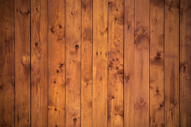 Hình ảnh minh họa ý nghĩa của từ planks