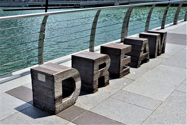 Hình ảnh minh họa ý nghĩa của từ planned language