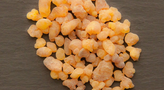 plant extract