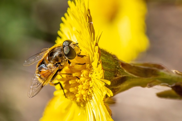 Hình ảnh minh họa ý nghĩa của từ plant physiology