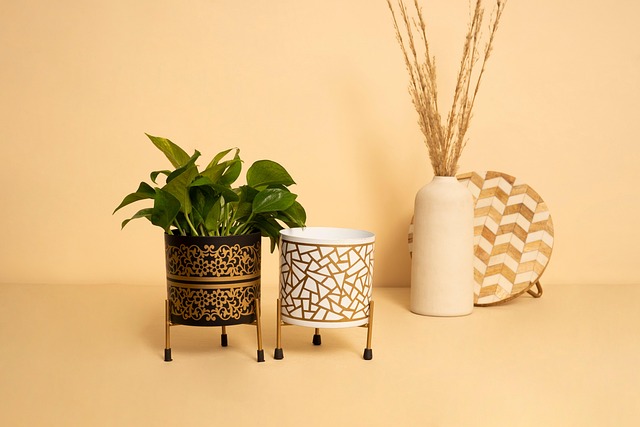 Hình ảnh minh họa ý nghĩa của từ planter