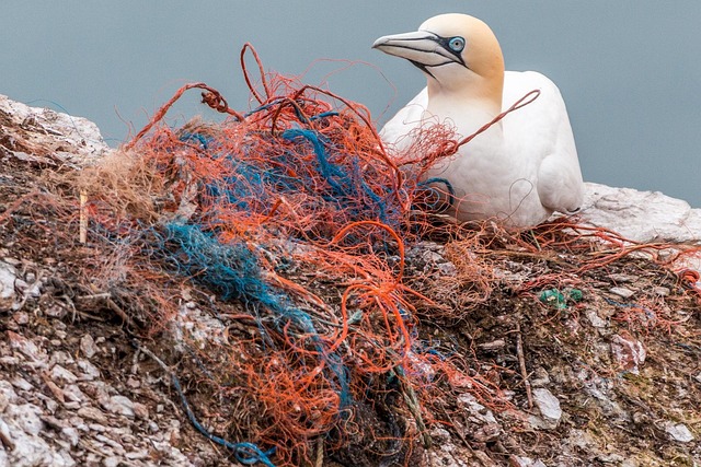 plastic pollution reduction