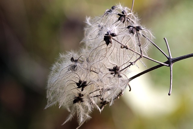 Hình ảnh minh họa ý nghĩa của từ plot contrivance