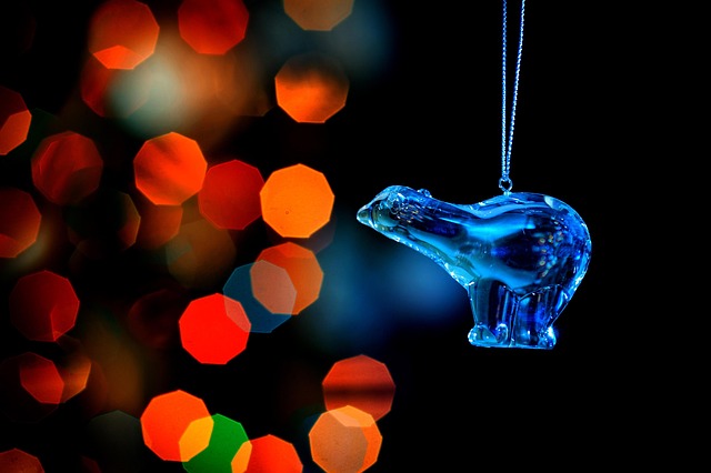 polar lights
