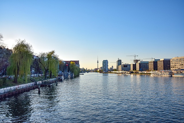 Hình ảnh minh họa ý nghĩa của từ political