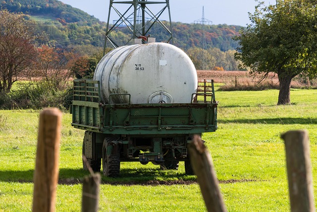 Hình ảnh minh họa ý nghĩa của từ polling place