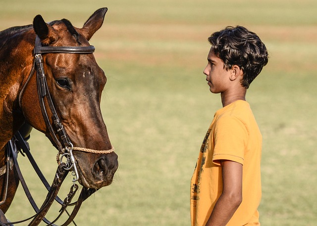 polo